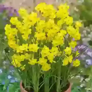 More and More
